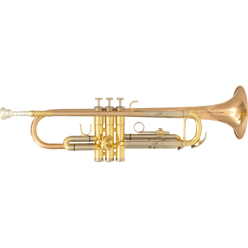 Trompette SML TP-600 - Macca Music
